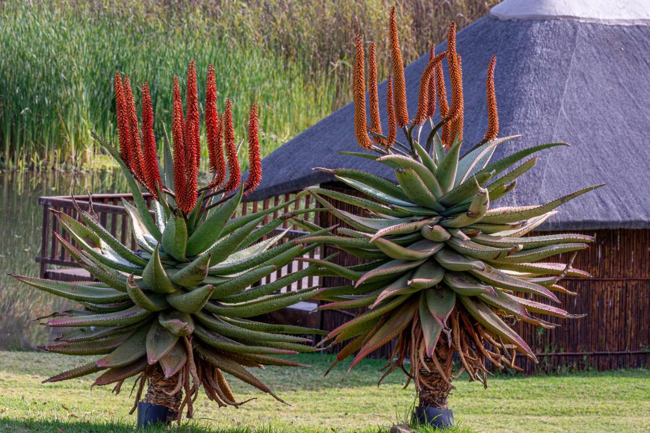 Rooiberg Lodge Van Wyksdorp ภายนอก รูปภาพ